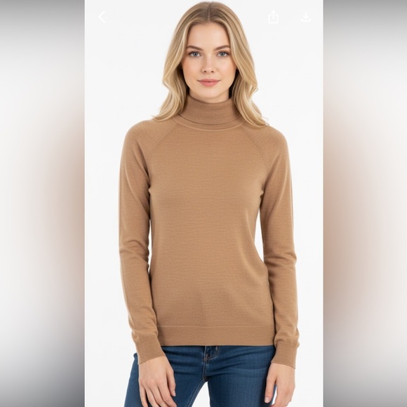 Banana Republic Brown Turtleneck Sweater Classic Knit size small merino wool - Picture 1 of 5